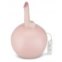 Надувной секс-мяч с реалистичным вибратором (Lux Fetish LF5313)