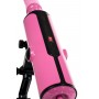 Розовая секс-машина Pink-Punk MotorLovers (ToyFa 456602)