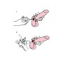 Женский страпон с вагинальной пробочкой - 17 см. (LOVETOY (А-Полимер) 837703)